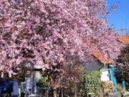 Naturidylle pur: Ruhig gelegenes Einfamilienhaus mit traumhaftem Garten in Marbach !!! - Erfurt