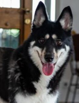 Bonita: verzaubert sie auch dich - München