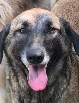 Viviane ist die pure Lebenslust - Obertshausen