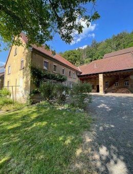 Top-Gelegenheit! Ehemaliges Bauernhaus mit Nebengebäude in Reiffelbach zu verkaufen - Reiffelbach