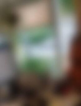 Hen*** - Brunsbüttel