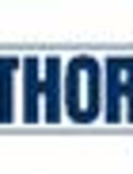 Informationssicherheitsmanager / Information-Security Expert (m/w/d) - Speyer