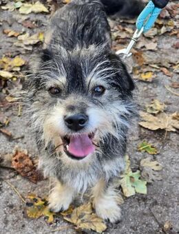 MONI ist ein richtiger Menschenfreund ♥️ - München