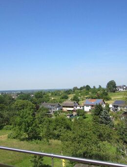Rebland mit Rheintalblick - Baden-Baden