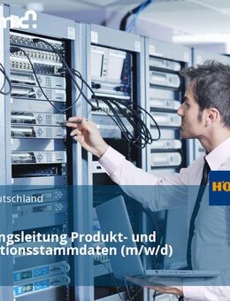 IT Abteilungsleitung Produkt- und Konfigurationsstammdaten (m/w/d) - Steinhagen (Nordrhein-Westfalen)