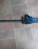 Akku Heckenschere in 09661