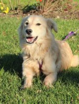 Marie - sucht ihr Glück - Hagen (Stadt der FernUniversität)