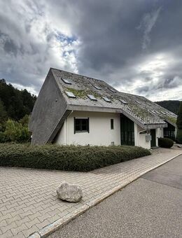 Wohnen im Luftkurort | charmantes 1 - Zimmerapartment - Todtmoos