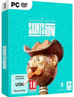 PC Saints Row Notorious Edition PC