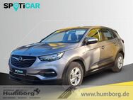 Opel Grandland, 1.2 Selection Turbo Musikstreaming Vorb, Jahr 2018 - Bad Driburg