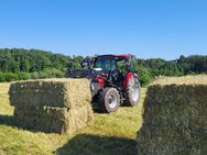 Heu 2024 Quaderballen zu verkaufen - Allersberg