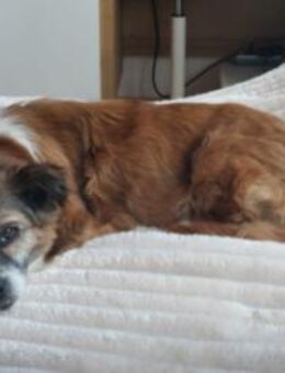 Soul ältere Dame mit großem Herz - Kallmünz