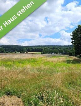 Mit Grundstück, ein Komforthaus für jedermann in Altenhagen. - Springe