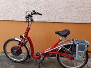 E-Bike Van Raam / Modell: Balance - Bornheim (Landkreis Alzey-Worms)