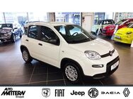 Fiat Panda, 1.0 Mild Hybrid Pandina, Jahr 2022 - Gütersloh