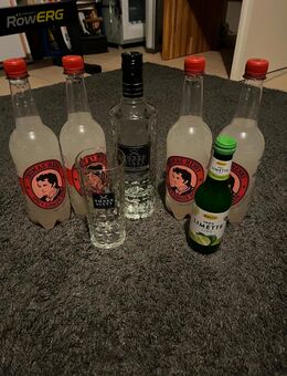 Moscow Mule Partyset (Three Sixty Vodka, Thomas Henry Ginger Beer, Limette, Glas) - Tönisvorst Zentrum