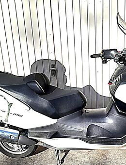 Jetzt ein Herbstschnäppchen machen: 650er Suzuki Burgmann mit diversem Zubehör - Baden-Baden