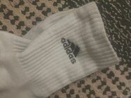 Getragene Adidas Sportsocken - Magdeburg