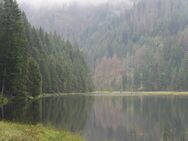 Seite an Seite... Suche Dich (um die 60 Lenze jung)! - Dissen (Teutoburger Wald)