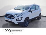 Ford EcoSport, 1.0 EcoBoost Cool&Connect, Jahr 2020 - Rottweil