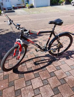 Mountainbike von Wheeler - Reinheim
