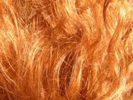 Suche Frau mit natur roten Haaren - Oberhausen