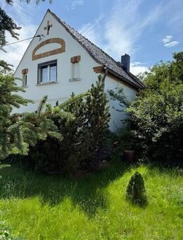 Sanierungsbedürftiges Einfamilienhaus mit riesigem Grundstück - Machern