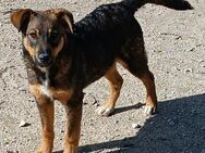 Angel mit ganzer Familie Alb - Ludwigshafen (Rhein)