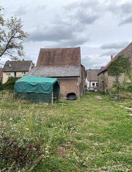 Bauernhaus mit 6000qm Wiese direkt am Haus - Wahnwegen