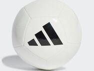 adidas Performance Fußball UNIVERSADI (1-St)