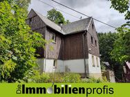 1352 - Schnäppchen: Einfamilienhäuschen im Frankenwald - Schwarzenbach (Wald)