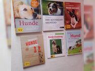 Bücher 🐕Hunde🐕 - Landau (Pfalz)