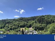 Traumhaft schönes freistehendes Haus mit Fernblick - Schönau (Baden-Württemberg)