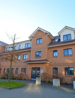 Zwei renovierte 3-Zimmer-Wohnungen in zentraler Lage von Heide zu vermieten - Heide