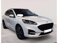 Ford Kuga ST-Line Pano+AHK+LED+360* - Nortrup