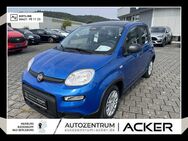 Fiat Panda, 1.0 NEU GSE Hybrid, Jahr 2024 - Marburg