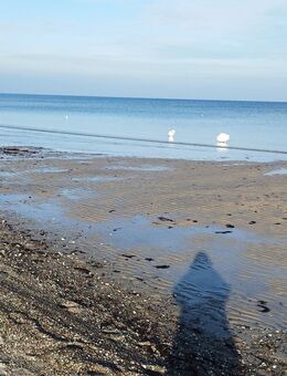 Guten Tag - Stralsund