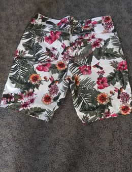 Kurze Hose - Meißen