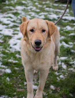 257171 - aufgeschlossen und neugierig - Overath