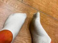 Getragene Socken, Bilder/ Videos - Montabaur