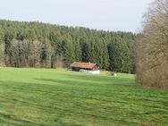 Ehem. Anwesen - Alleinlage - absolut ruhige und sonnige Höhenlage mit Blick zum Arber zw. Viechtach u. Sankt Englmar - Kollnburg