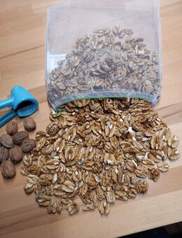 Walnusskerne Bio 3kg aus Bayern ohne Schale Ernte2025 - Floß