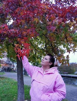 Wellness +Sport Massagen in Berlin - Berlin Marzahn-Hellersdorf