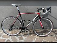 Rennrad Bianchi Sempre Pro Ultegra - Penzlin