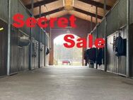 Secret Sale Reitgestüt nördl. von Berlin Top Ausstattung - 26 ha Koppeln - Liebenwalde