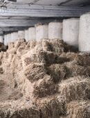 Heu und Stroh zu verkaufen in 02906