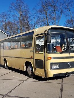 Busfahrer Klasse CE/DE (95) sucht Job! - Berlin