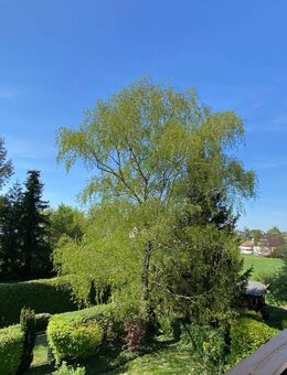 Garten-Wohnung im Stil einer Doppelhaushälfte, 5 Zimmer, Südgarten, ruhige Lage! - Planegg