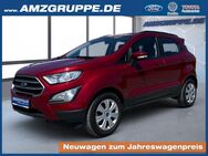 Ford EcoSport, 1.0 EB Cool&Connect Winterpak, Jahr 2018 - Stollberg (Erzgebirge)