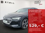 Audi e-tron, Sportback 50 quattro Privacyverglasung Sonnenschutzrollos, Jahr 2021 - Binzen